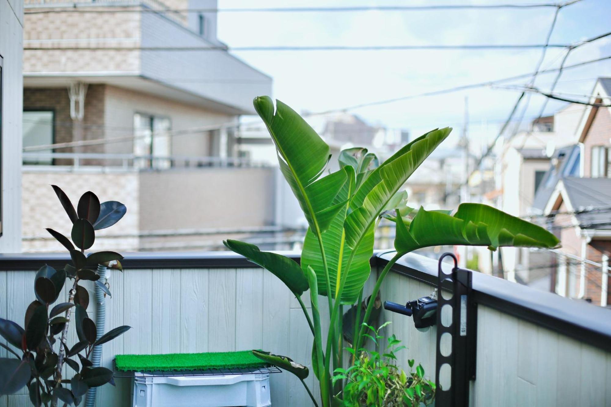 Habitación en casa particular アキラ商事